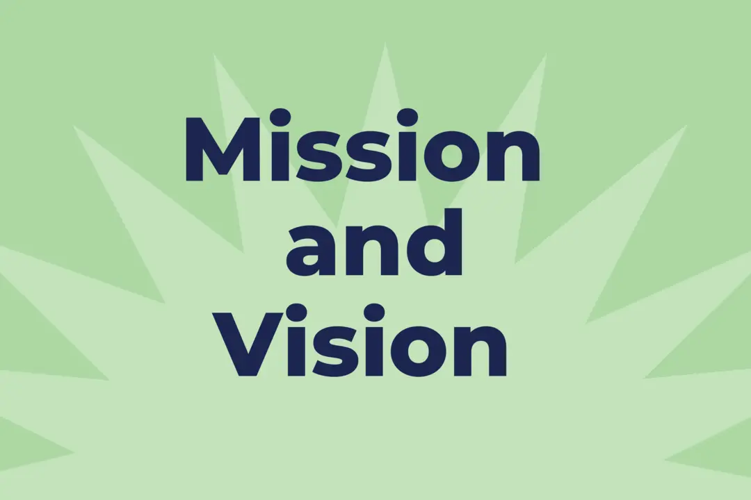 Web image: Al Noor Website M V Visual