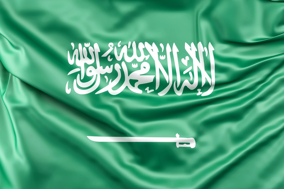 Web image: Flag Saudi Arabia